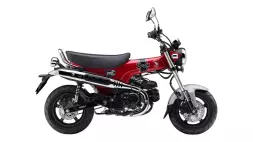ST125 DAX, couleur Pearl Nebula Red