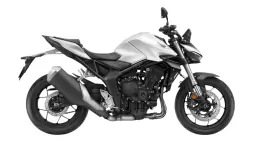 CB1000 Hornet, couleur Pearl Glare White