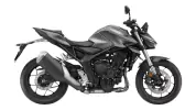 CB1000 Hornet Mat Iridium Gray Metallic CB1000 Hornet CB1000 Hornet