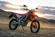 CRF300L (photo 7)