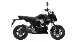 MSX125 Grom, couleur Mat Gunpowder Black Metallic