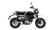 Monkey Sheen Silver Metallic/Pearl Shining Black Monkey Monkey